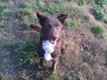 Osita
