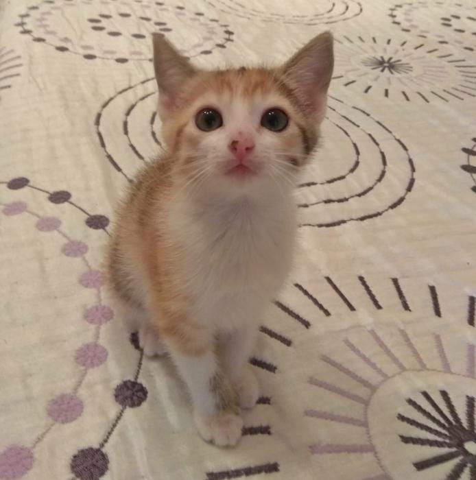 Baby Baby