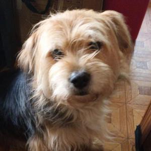 Max