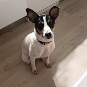 Coco