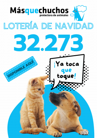 Lotera de Navidad 2024