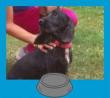 Luna (Cogolla) vaco